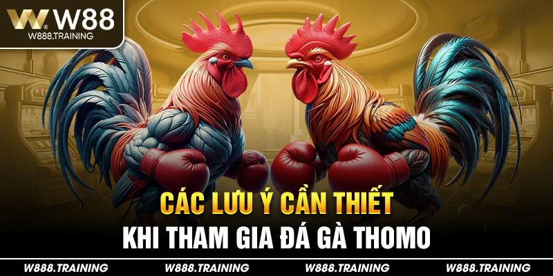 Các Lưu Ý Cần Thiết Khi Tham Gia Đá Gà Thomo