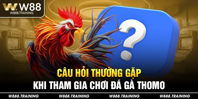Câu hỏi thường gặp khi tham gia chơi đá gà thomo