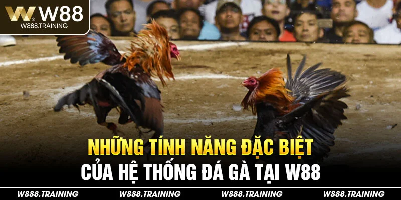 Những tính năng đặc biệt của hệ thống đá gà tại W88