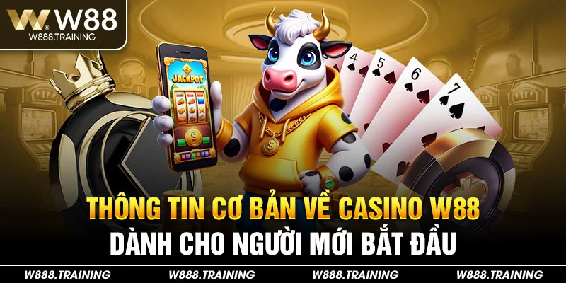 Thông tin cơ bản về casino W88 dành cho người mới bắt đầu