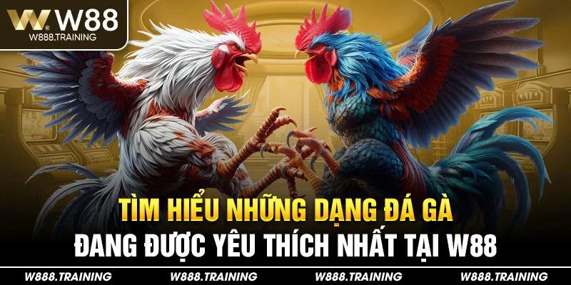 Tìm hiểu những dạng đá gà đang được yêu thích nhất tại W88