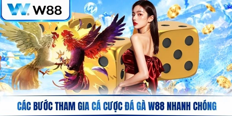 Hướng dẫn các bước tham gia cá cược đá gà W88 nhanh chóng